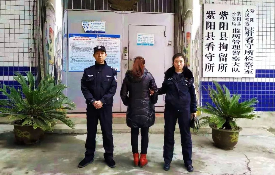 限行违章短信：了解限行政策，避免违法成本