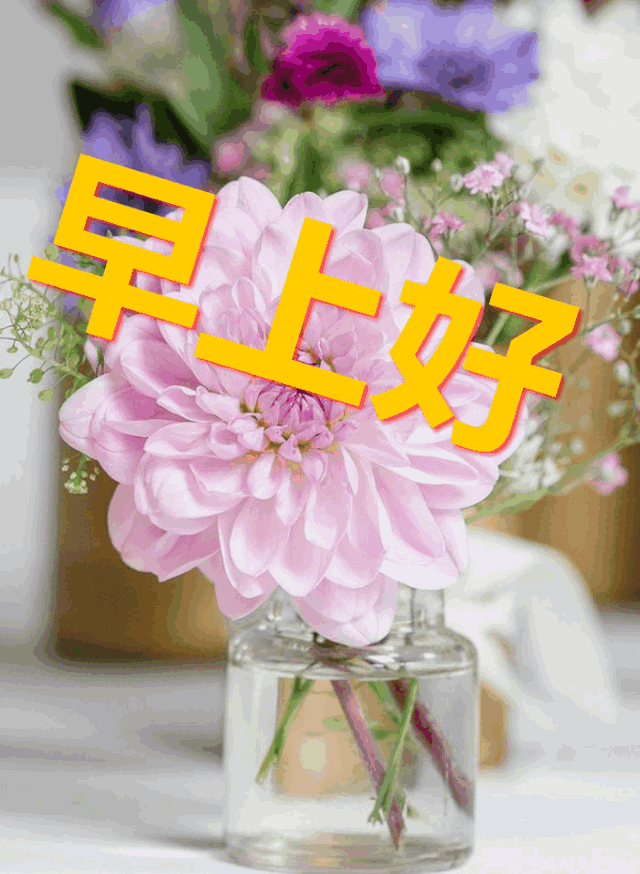 <b>《短信群发 APK：高效沟通助手，轻松管理信息传播》</b>